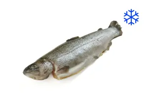 Pstruh gastro 200-300 g
