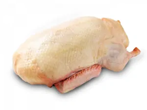 KACHNA BEZ DROBŮ