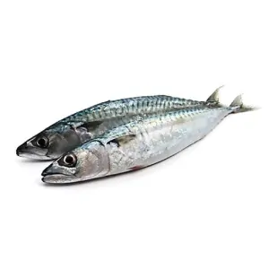 Makrela kuchaná sáček nautic