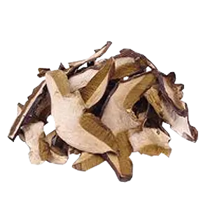 Suchohřib hnědý plátek